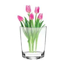 Elegant and Modern Montego Bay Crystal Pocket Shaped Vase for Home Decor - 11"
