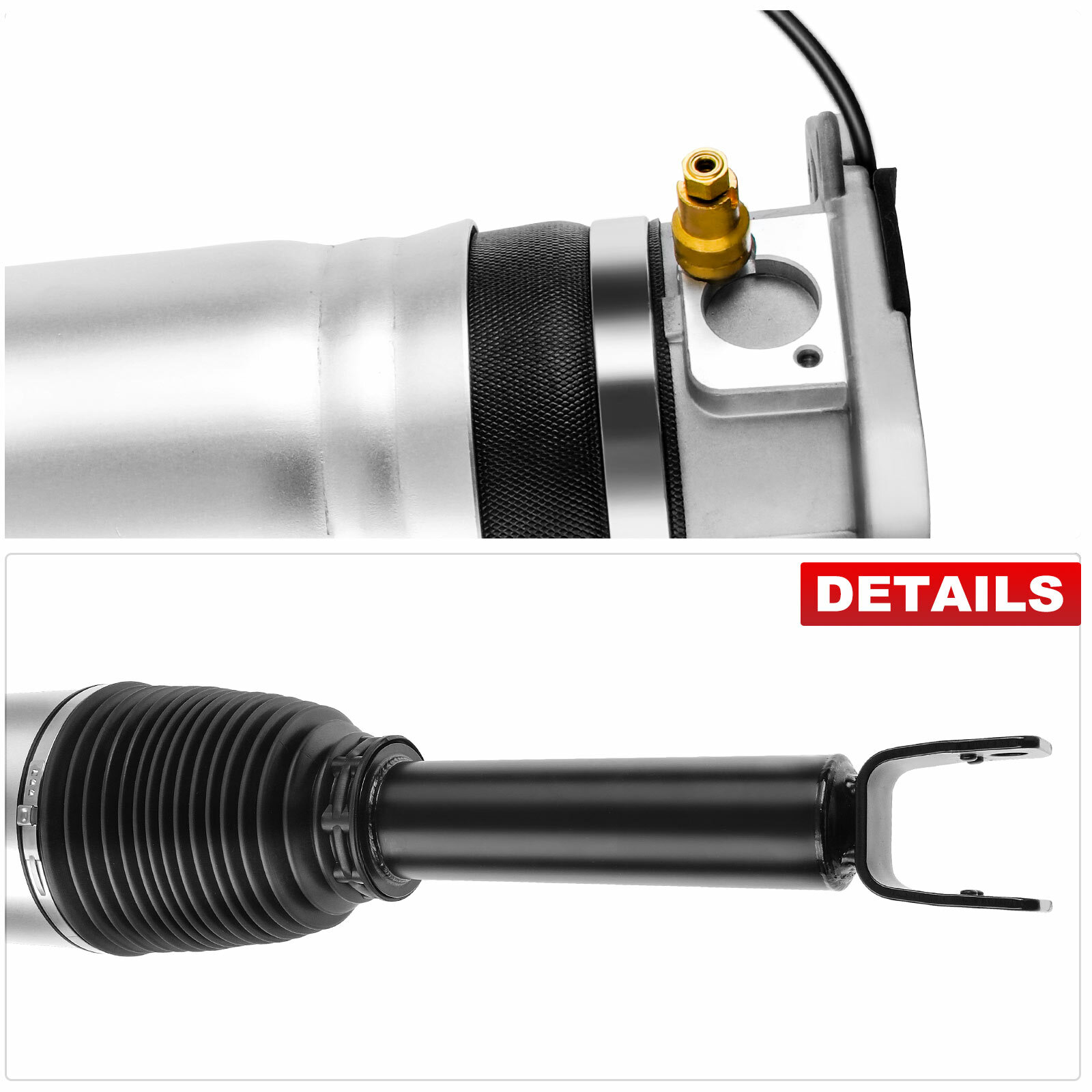 Rear Right Air Suspension Strut for Bentley Continental 03-18 VW Phaeton 04-06