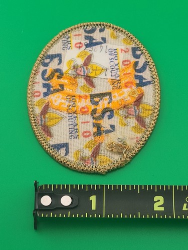 Zweite Klasse Rang Uniform hellbraun Aufnäher 2010 Plastikrücken BSA Pfadfinder Amerika NEU - Bild 2 von 2