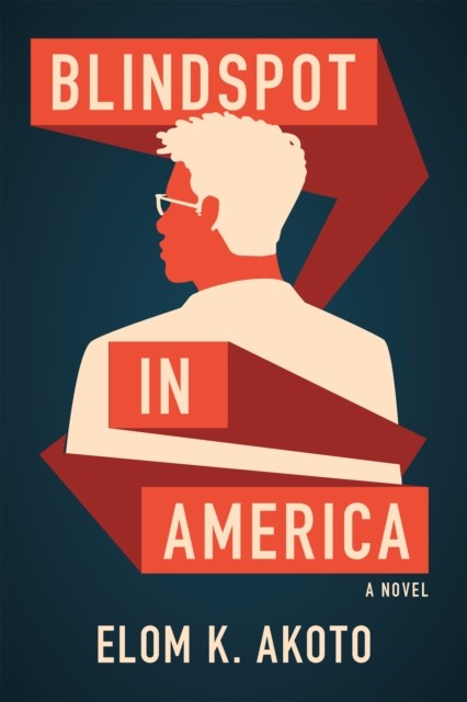 Blindspot in America by Elom K. Akoto PAPERBACK 9781636281827
