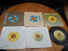  on The Hot Collector