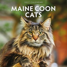 Maine Coon Cats 2027 Square Wall Calendar