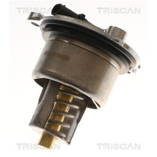 Thermostat Porsche 911