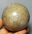Foto 5 di 10