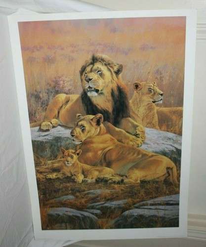 The Lion Kingdom by Kim Donaldson Wildlife Big Cat Lioness Cub - 第 1/5 張圖片