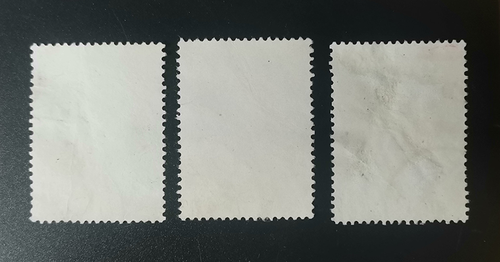S61 1964 Peony Cancel Full set of Stamps China Collection Flower Stamps - 第 3/4 張圖片