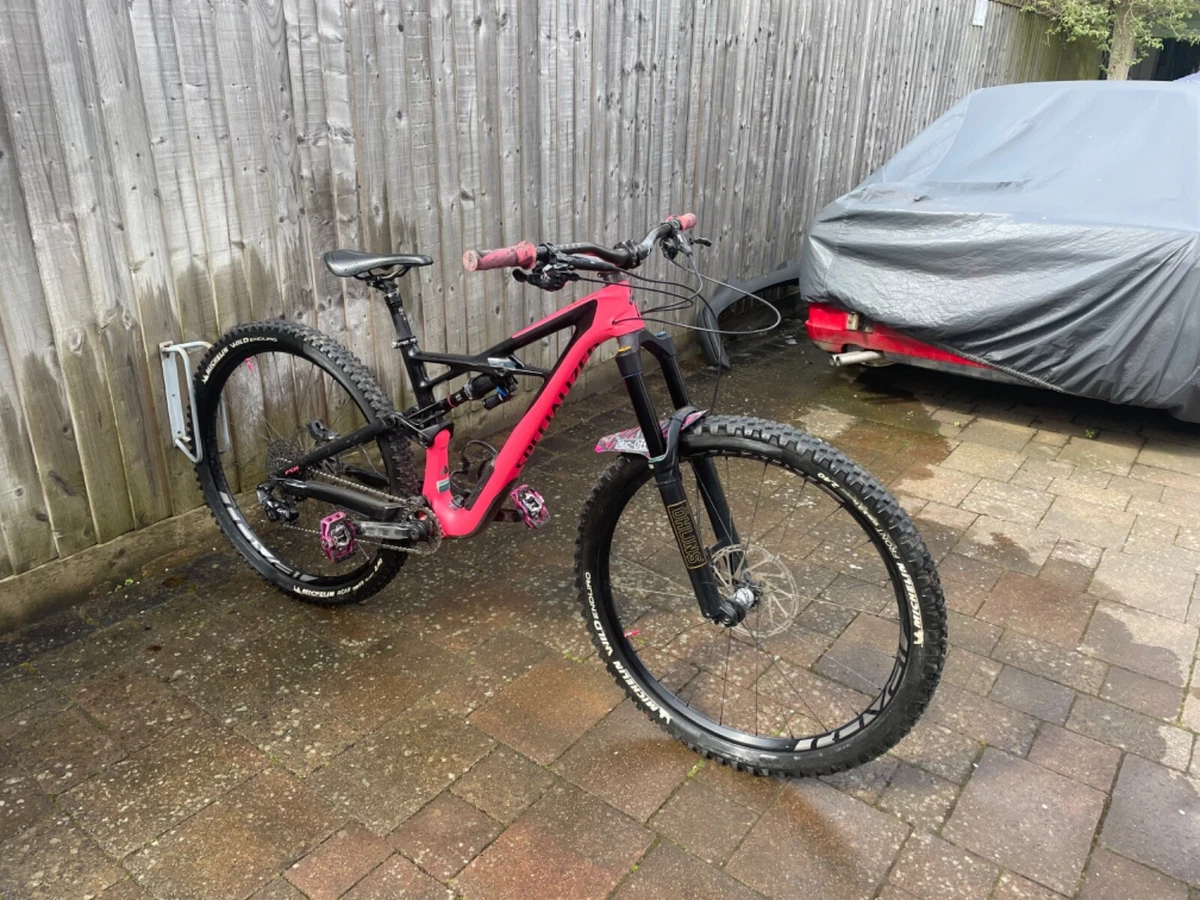 specialized enduro 29er