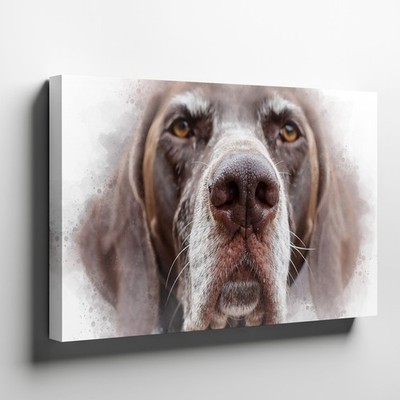 Close Up German Shorthaired Pointer Dog Portrait Canvas Wall Art Animal Print