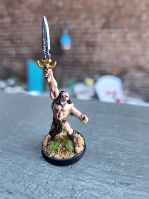 Reaper Miniatures DHL Well Painted Metal Brom The Barbarian, Human Barbarian