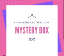 5+ Pcs MYSTERY New Women's Clothing LOT S-1XL (U Pick Size) Variety of Brands