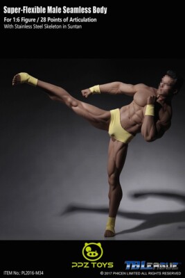 1/6 Phicen Super Flexible Male Seamless Body Steel Skeleton