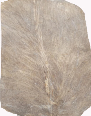 1st Class Burkina Goat Skins 55cm x 55cm for Djembes/Frame Drums