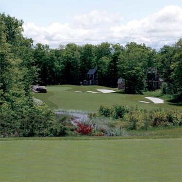 25 LBS Crystal Bluelinks Creeping Bent Grass Seed