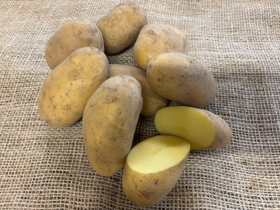 Kartoffeln; Speisekartoffeln;  2025; aus Bayern; 3-24 kg; vorwiegend festkochend