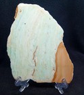 Picture 6 of 6