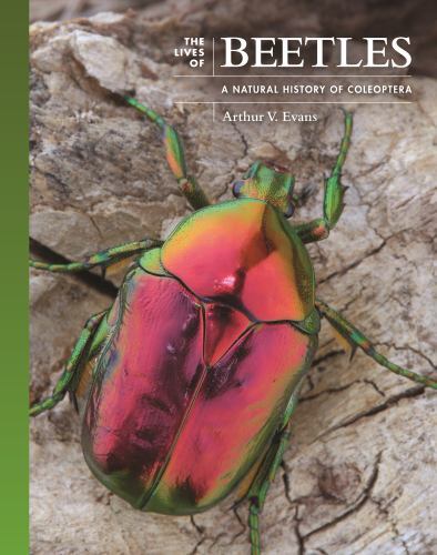 The Lives of The Natural World Ser.: Lives of Beetles : A Natural History of ...