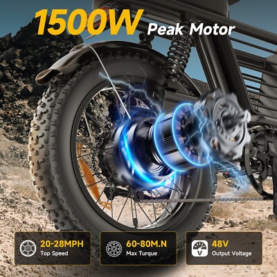 20''x 4 Electric Dirt Bike 1500W Peak Fat Tire Off-road ebike 48V
