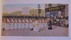 Cat Art Postcard Louis Prang Cats Soldiers Parade Angora Cafe DeRibas New Unused — photo 2