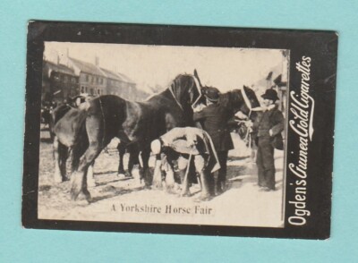 TOPOGRAPHIE - OGDENS GUINEA GOLD - A YORKSHIRE HORSE FAIR - 1900