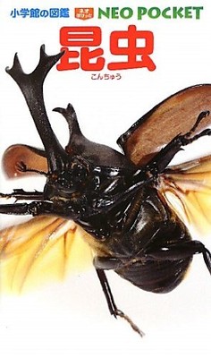 Insects (Shogakukan's Picture Book NEO Pocket)