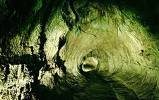Postcard Thurston lava tube Hawaii volcano national park