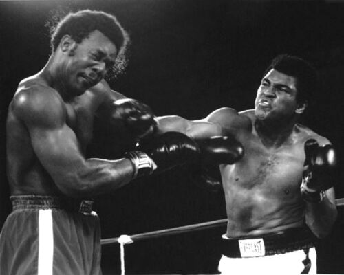 1974 Boxing MUHAMMAD Ali & GEORGE FOREMAN 8x10 Photo Rumble in the Jungle Print - Afbeelding 1 van 1