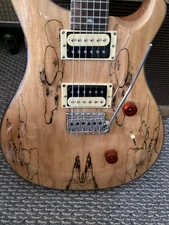 Paul Reed Smith PRS SE CUSTOM 24 Spalted Maple 2015 Beautiful Wood 