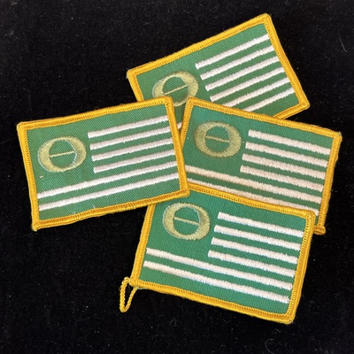 #ad One VINTAGE 1979s Green Earth Activist ECOLOGY FLAG Hippie Patch SLP2 $6.75