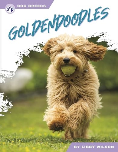Goldendoodles (Dog Breeds Series). Wilson, Libby 9781637389102 Free Shipping**
