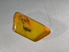 Photo 5/5