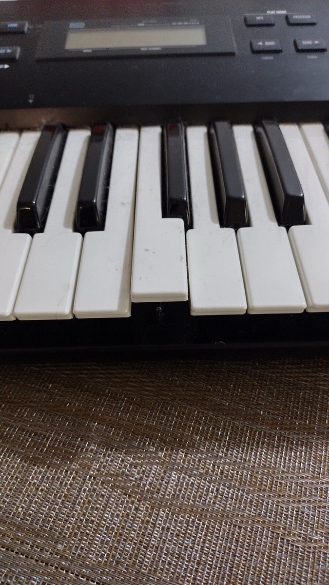 Alesis QS6.1 64 Voice Expandable Synthesizer - 61 Keys | eBay