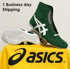 ASICS Wrestling Boxing Shoes 1083A001 New Model EX-EO TWR900 Green White