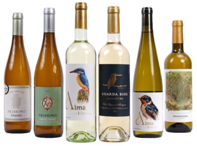 Probierpaket Weißwein Wein aus Portugal 6 Flaschen KOSTENLOSER Versand ab 79 