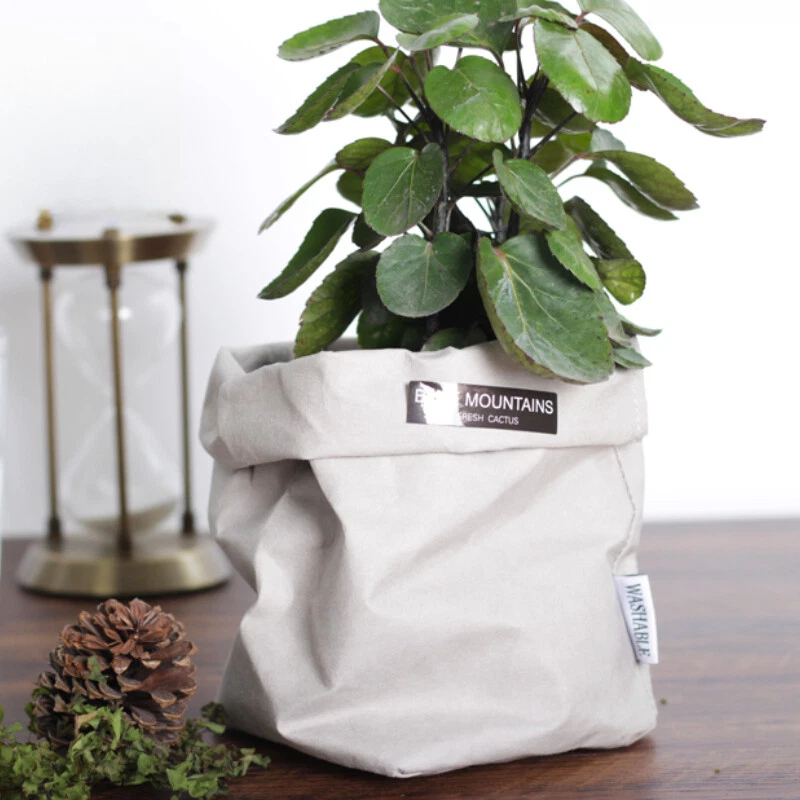 1pcs Lavabile Cibo Sacchetti Cartone Organizer Borsa Frigorifero Portaoggetti - Immagine 4 di 4