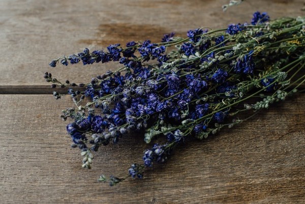 Nadeco Delphinium Natur Blau Im Bund Ca. 60Cm Rittersporne Getrocknet Boho Deko-image