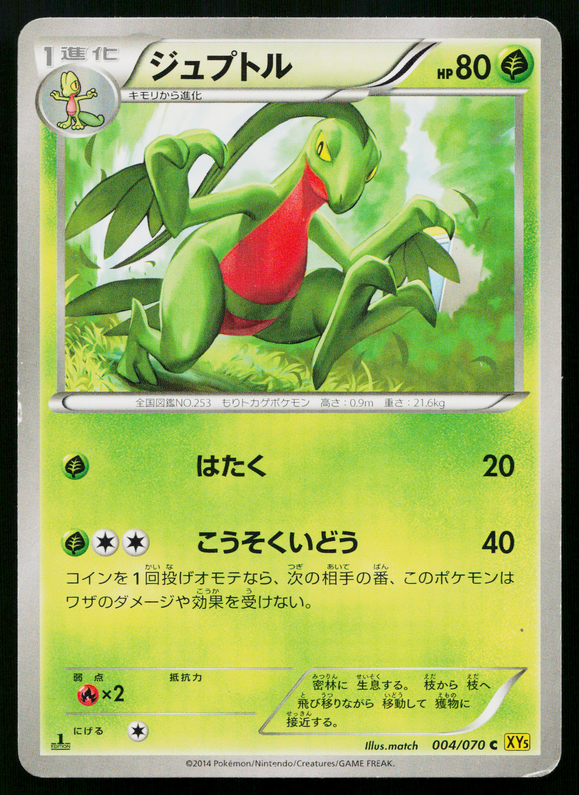 Grovyle 004/070 Common Gaia Volcano Pokemon Japanese Moderately Played