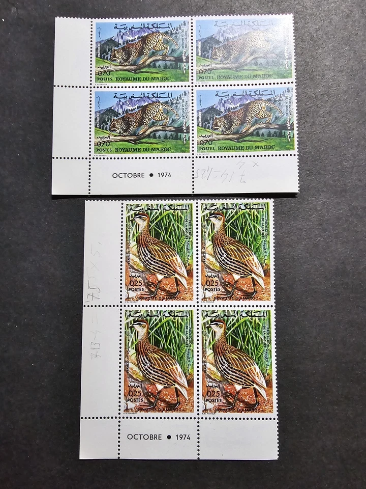 TIMBRE MAROC COIN DATÉ FAUNE OISEAUX ANIMAUX N°713/714 NEUF ** LUXE MNH 1974 - Photo 1/1