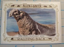 2021 Topps Allen & Ginter #RB-5 Northern Elephant Seal Rallying Back