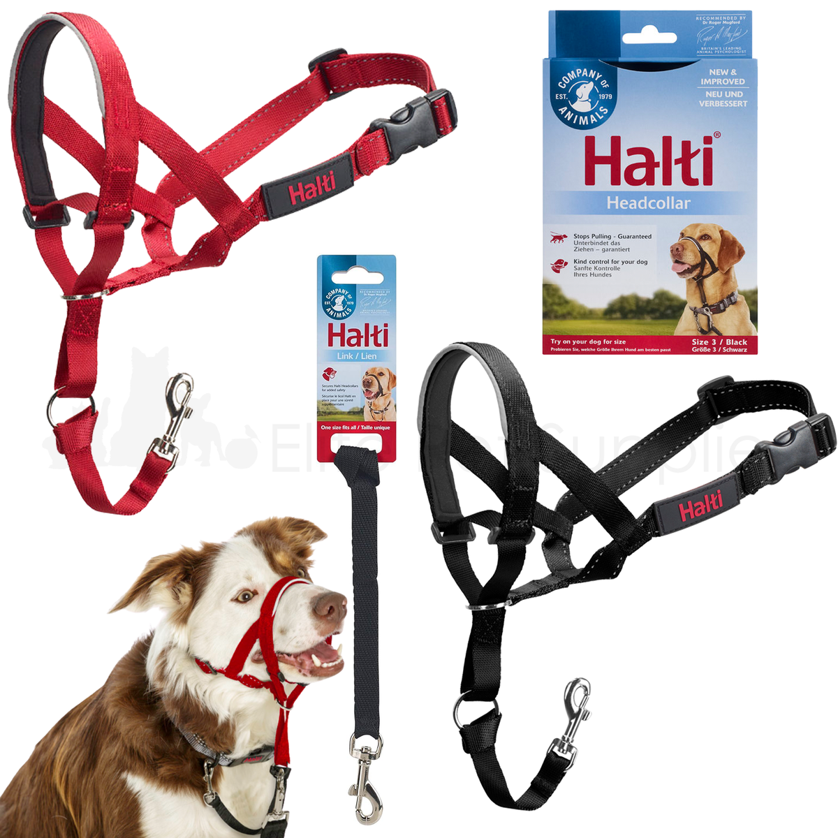 Dog Collar Amazon 2025 Dogmatic Headcollar Amazon Halti Nylon Head
