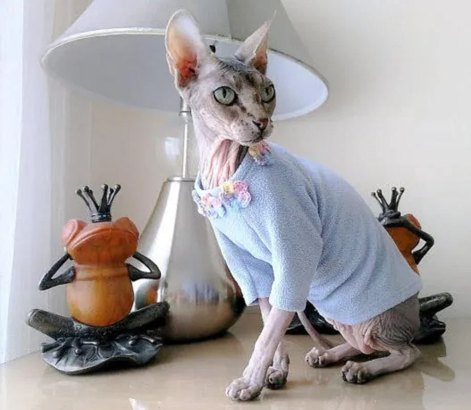 Chaqueta polar suave para gatos - GRANDE, acogedor suéter para gatos con ribete floral de ganchillo Foto 2 de 4