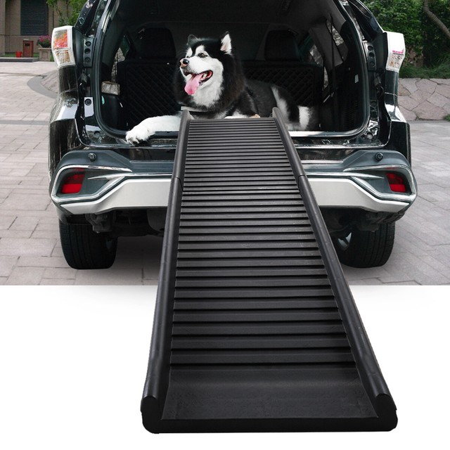 used dog ramp