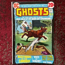 Ghosts #13 by Leo Dorfman w/ Nick Cardy Cover 1973 DC Comics Bronze Age Horror