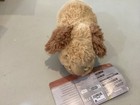 Disney Parks Star Wars Therii Batuu 9" Plush Creature Toy NWT — photo 4