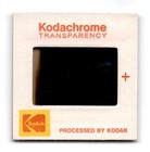 Polynesian Village Resort Disney World Hotel Lobby 35mm Slide 1970s Kodachrome — photo 2