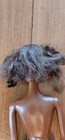 Bild 5 von 10