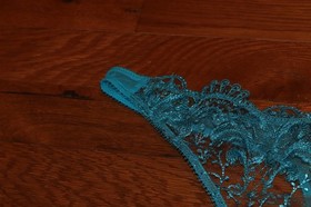 BNWT Dita Von Teese Nom de Plume G-String MSRP $50!!