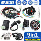 <!--F#f_0-->Electrics Wiring Harness Loom Coil CDI FOR Zongshen 125cc-250cc Quad Bike/Buggy<!--F/-->