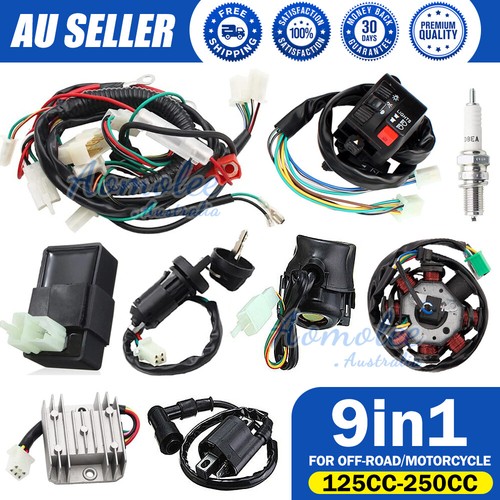 ALL ELECTRICS Full Kit Coil Cdi Harness Zongshen Loncin 250cc Hummer Atomik ATV - Foto 10