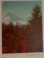 Union Pacific Railroad 1955 Dinner Folder Menu - Mt Hood Cover -Special Train