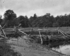 New 8x10 Civil War Photo: McPherson Woods on the Battlefield of Gettysburg